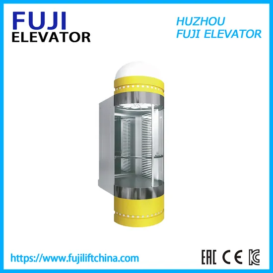 Passenger Home Elevator with Professional Service in Business Building on Hydraulic Lift Series