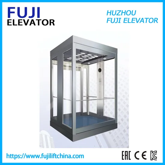 Passenger Panoramic Home Lift Elevator with Hairline Stainless Steel