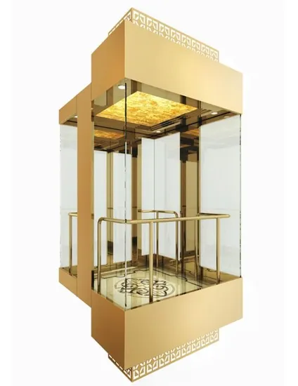 Load 800~1000kg Square Passenger Panoramic Sightseeing Elevator Lift with Ard