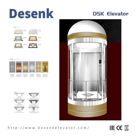 Desenk Passenger Elevator 630kg High Grade Design Panoramic Elevator Glass Elevator for Sightseeing