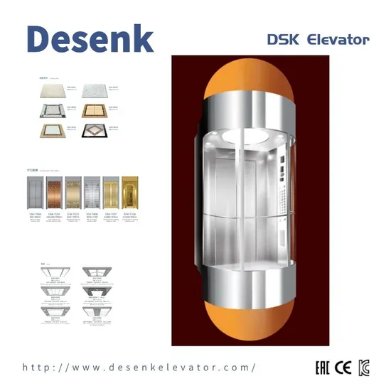 DSK Passenger Elevator Observation Elevator For Shopping Mall Building With Best Elevator Price