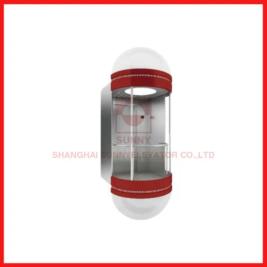 800kg Best Quality Panoramic Passenger Elevator Lift
