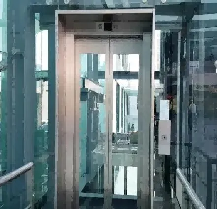 FUJI Vvvf Villa Home Panoramic Lift Observation Residential Sightseeing Glass Passenger Elevator