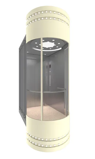 Hot Sale Glass Elevator Cabin with Local Installation Team and Factory Price