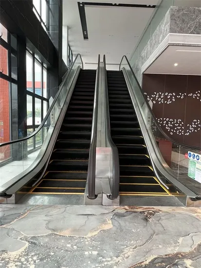 Factory Elevator Lifts Commerical Airport Passenger Conveyor Escalator