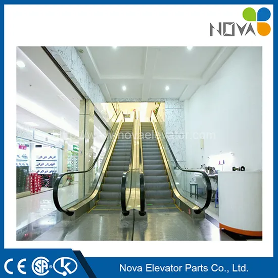 China Automatic Indoor Outdoor Vvvf Inverter Escalator