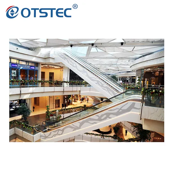 New Type Commercial 600/800/1000mm Outdoor Escalator with CE Certification