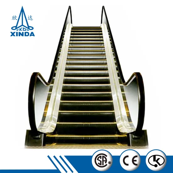 Attractive Design Passenger Elevator for The Life Convenience