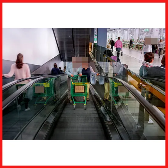 Subway Airport Electrical Moving Sidewalk 5000kg Indoor Autowalk Escalator