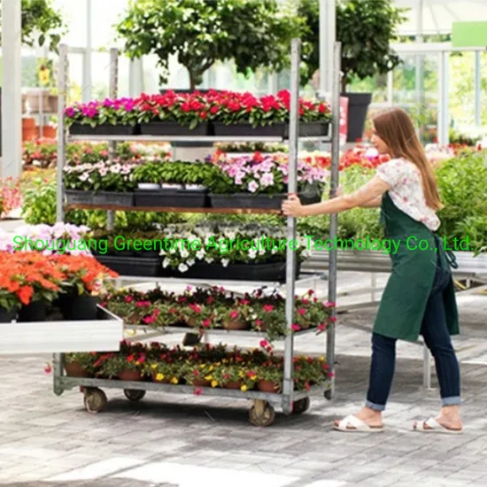 Cheap Galvanized Flower Transport Display Garden Greenhouse Flower Dutch Trolley