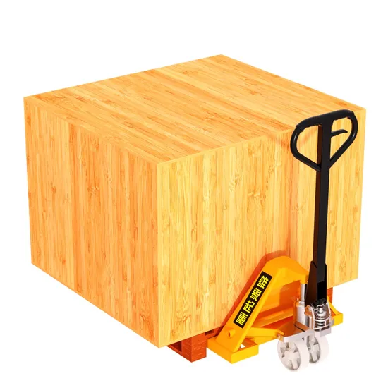 CE 2000kg/2500kg/3000kg Hydraulic Manual Pallet Truck Forklift