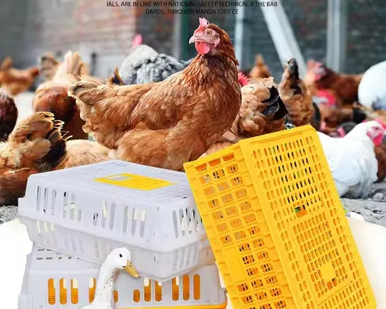 Live Chickens to Transport Cages for Sale Transport Basket for Live Poultry Crates Made in China