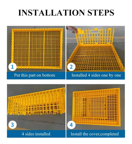Poultry Farm Use Transport Crates Plastic Pigeon Cages for Sale