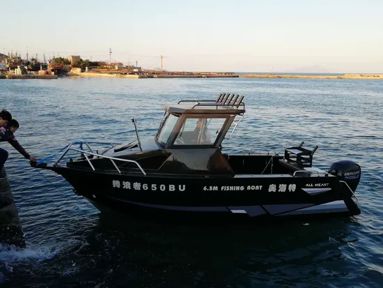 Shark 6.25m/21FT Fishing Boat with Hardtop and Aluminum Cabin