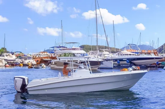 27FT Fishing/Racing Boats with Aluminum Floor/CE Certification