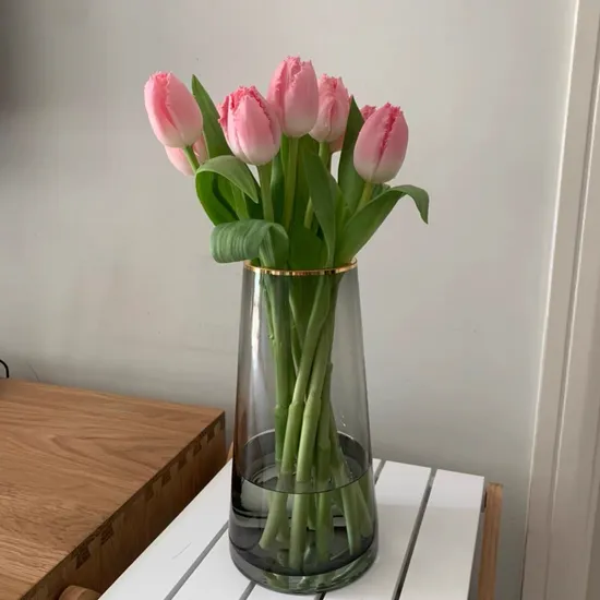 T Shape Simple Glass Flower Vase with Golden Rim