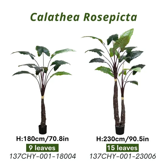 Wholesale PVC Calatheas Plants Faux Indoor Plant Artificial Calathea Tree