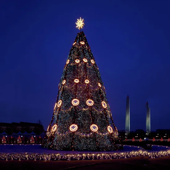2024 High Quality Made in China 10m 15m 20 Meters Giant Green Christmas Tree