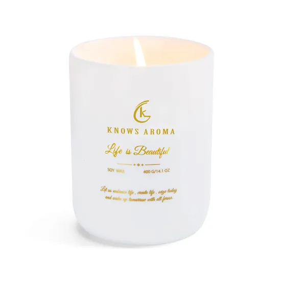 Scented Candles Life Beautiful Fragrance / 14.1 Oz Aromatherapy Soy Wax Candle for Home Scent / Semi-Transparent Frosted White Porcelain Jar / 75 Hours Burning