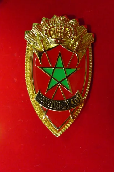 Metal Police Badge for Military Gift Army Factory Military Beret Shoulder Badge