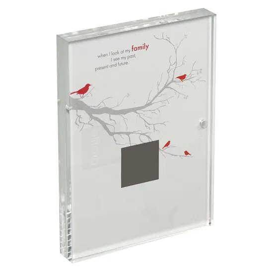 Acrylic Photo Frame Economic Magnetic Acrylic Photo Frame Customizable Size