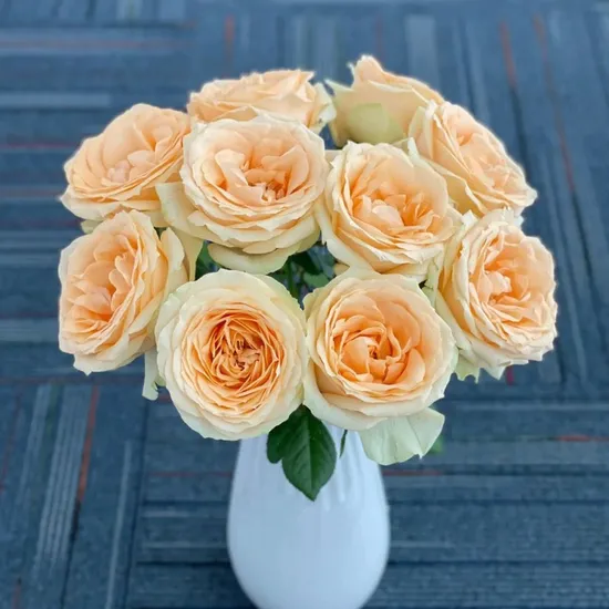 Natural Fresh Rose Bouquet Fresh Cut Flower Best Quality Grade a Decorative 20PCS/Bundle