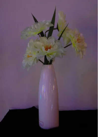 Holiday Decoration Flower Light with LED