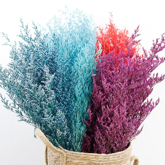 Colorful Lovers Grass Natural Air-Dried True Flowers Arrangement Accessories