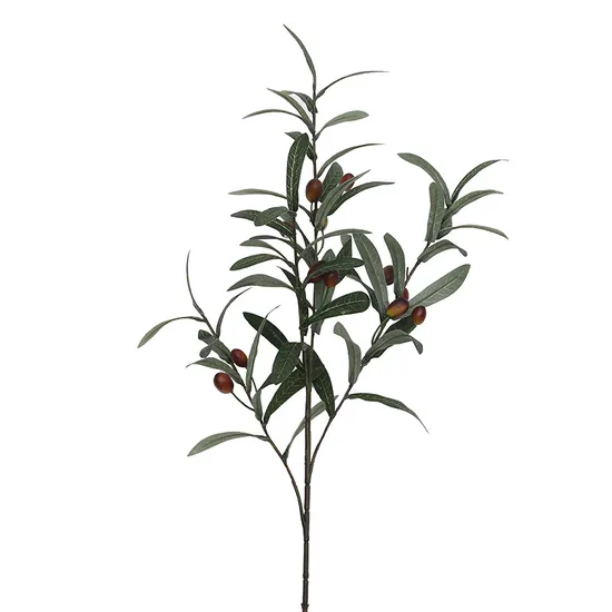 Simulation of a Single Olive Branch Olive