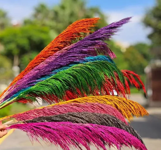 Colorful Dried Flower Reeds From China for Wholesale Supply