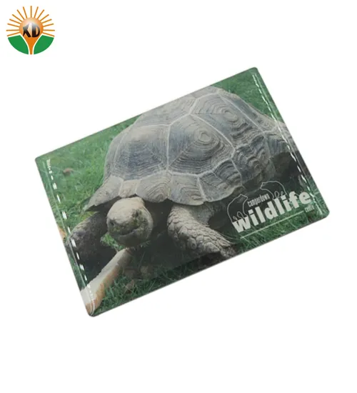 Customized Printing Epoxy Fridge Magnet
