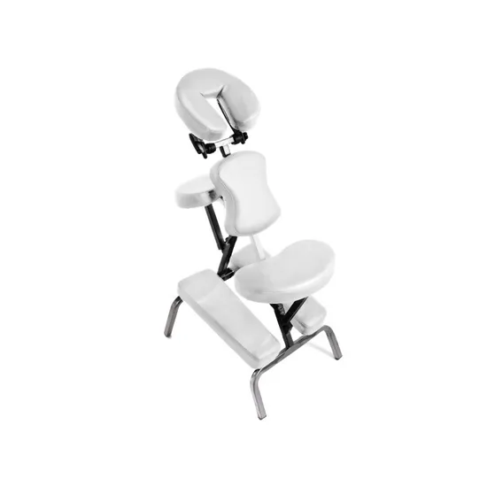 Beauty Salon Furniture Portable Folding Massage Chair for SPA