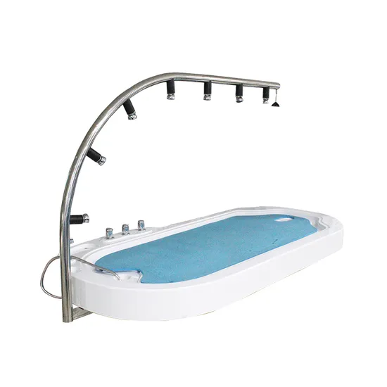 Factory Price Table Shower Bed Massage Vichy Shower/Water SPA