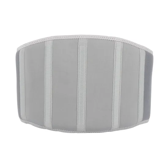 Hot Selling in Southeast Asia CE Certified Xy-442 Electric Waist Massager Massage Equipment