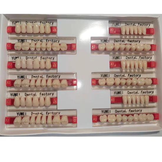 Factory Sale! ! ! 2024 Best Selling Dental Acrylic Teeth or Synthetic Resin Teeth with CE