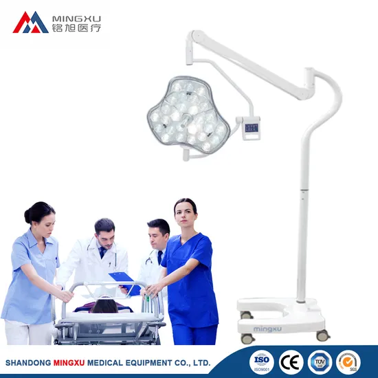 Emergency Room Mobile LED Shadowless Operating Operating Lamp Examination Light