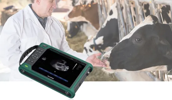 Advanced Periodmed Veterinary Ultrasound System for Pet Health Diagnostics