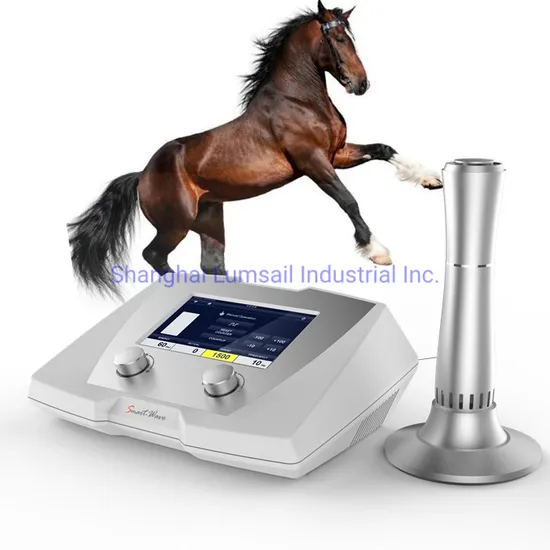 Equine Shockwave Therapy Shockwave for Horses and Small Animals