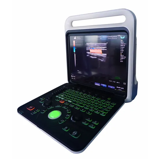 Cost-Effective Veterinary Color Doppler Ultrasound Machine with Rectal Probes
