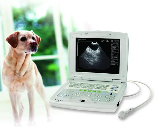 Veterinary Doppler B Mode Ultrasound Scanner Machine Vet Use Detector for Pig Horse Cow