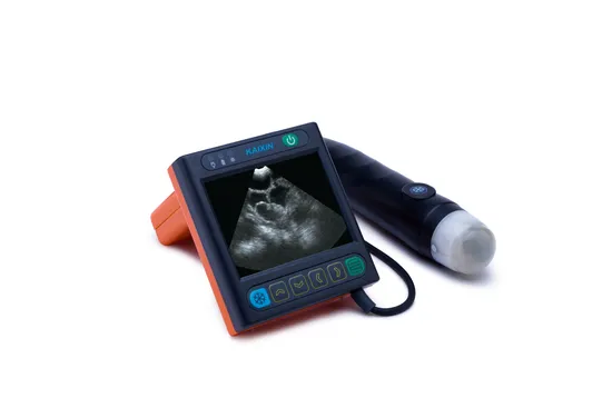 Swine and Pet Ultrasound Instrument for Accurate Pregnancy Testing
