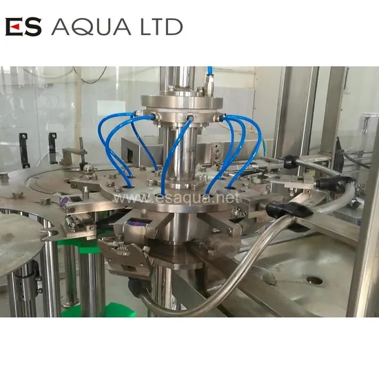 Completely Full Automatic Mineral Pure Water Bottle Filling Machine Plant Production Line From a to Z/Filling Machinery/Liquid Filling Machine/Bottle Filling Ma