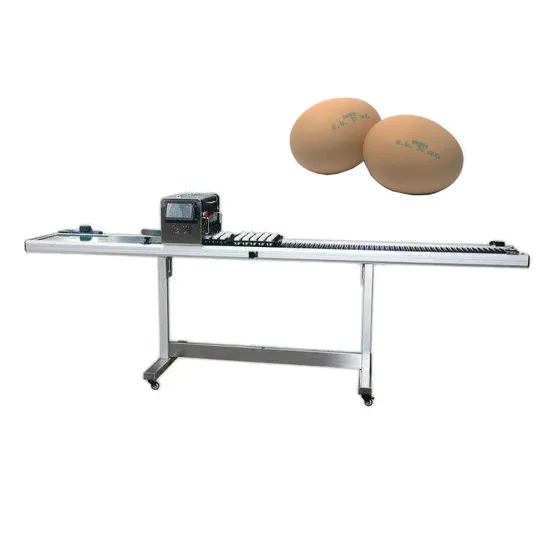 Fully Automatic High-Precision Zero-Breakage Egg Printer Egg Printing Inkjet Machine