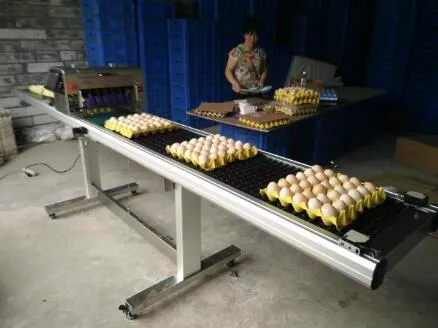 Hot Selling Egg Date Coding Machine