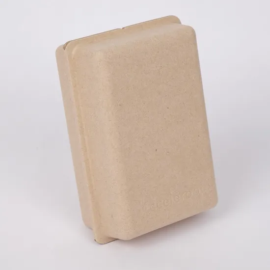 Customized Biodegradable Pulp Packaging Molded Pulp Tray China Manufacturer