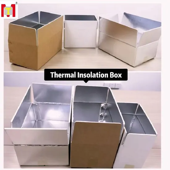 Custom Insulated Meat Transport Box for Frozen Fresh Foods Cakes Ice Cream Packaging