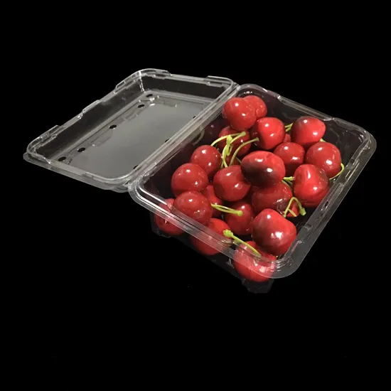 Plastic PET Blister for fruit  Disposable Food Packaging Container Box
