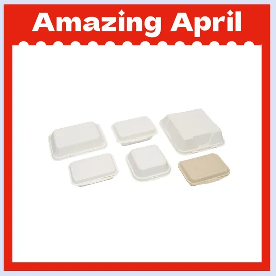 Disposable Tableware Food Packaging Bio-Degradable Sugarcane Bagasse Biodegradable 100% Compost Container