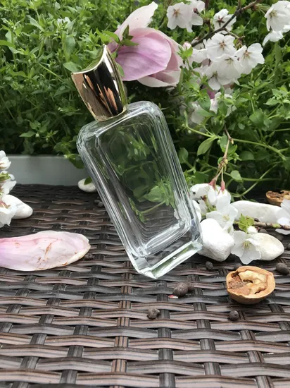 10ml 30ml 50ml 100ml European Style Custom Wholesale Production of High Quality with Cap