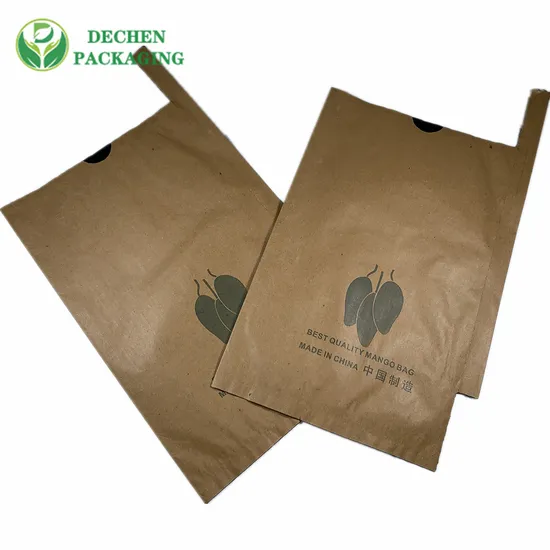 Carambola Anti Insect Guava Kraft Paper Bag for Fruit Growing